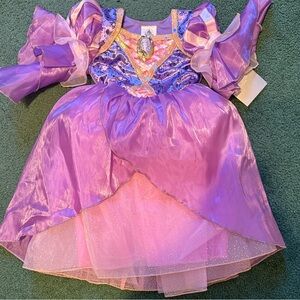 Disney Purple and Pink Princess Rapunzel Costume